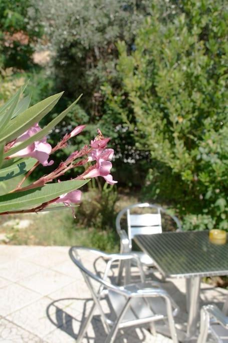 Anadora 2: Hospitable Stone House With Yard Apartamento Alexandroupoli Exterior foto