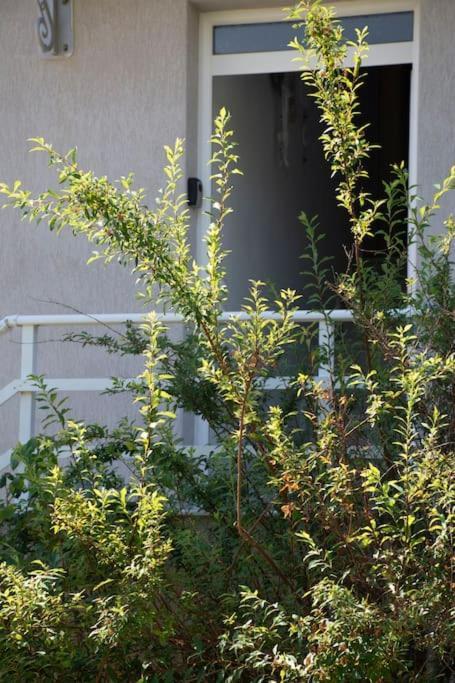 Anadora 2: Hospitable Stone House With Yard Apartamento Alexandroupoli Exterior foto